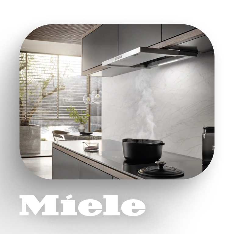 Фото 2 Miele DAS 2920