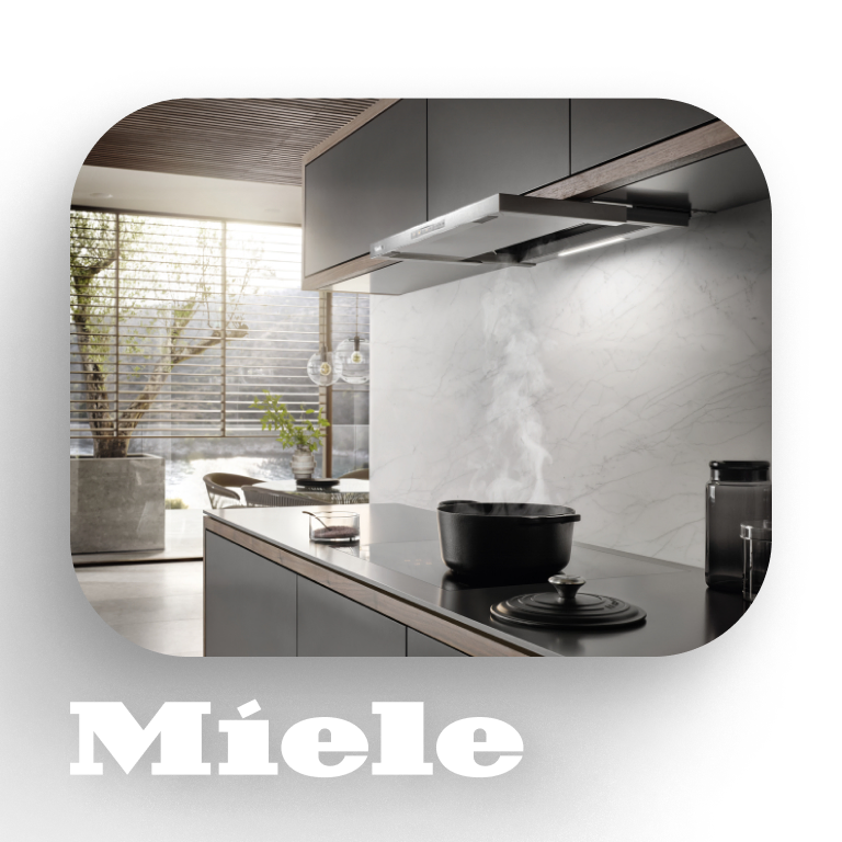 Фото 2 Miele DAS 4620