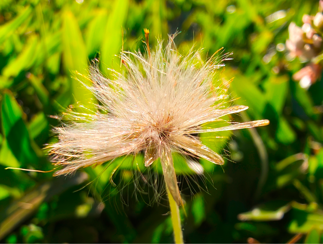 Фото Moto Signature