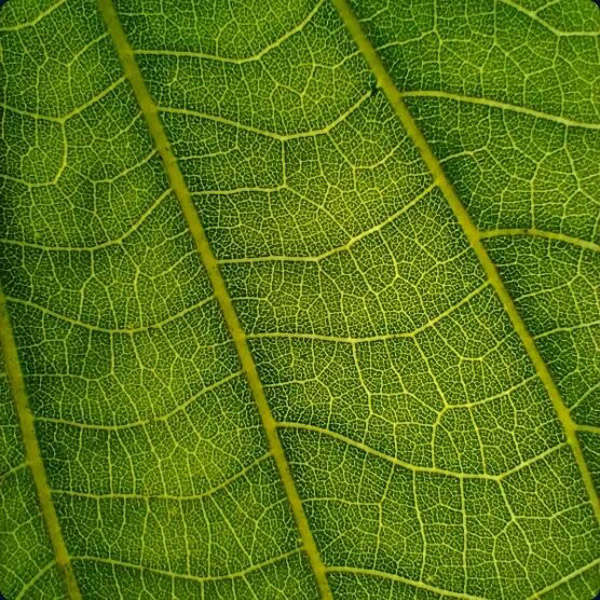 Фото 5 Motorola G10