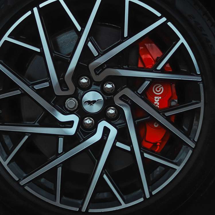 Фото 4 Mustang_E-Mach