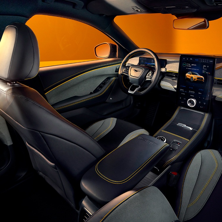 Фото 8 Mustang_E-Mach