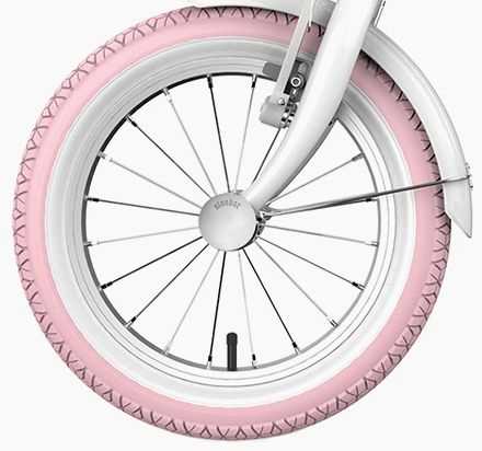 Фото 5.3 Ninebot Kids Bike 14