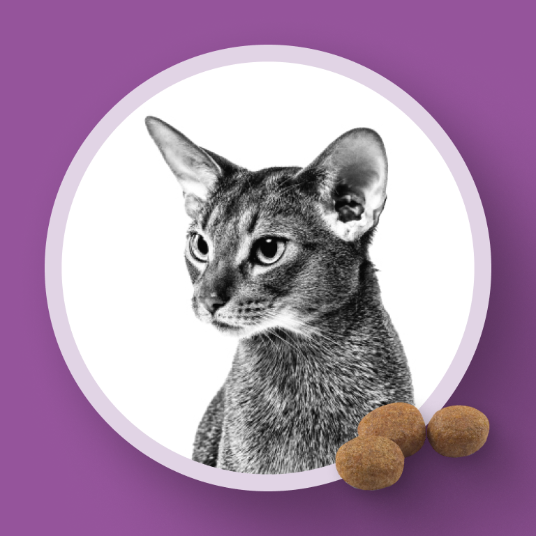 Фото 2 Royal_Canin_STERILISED