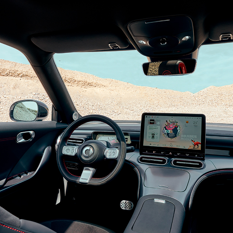 Фото 7 SMART_Brabus