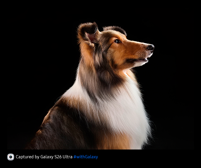 Фото Samsung Galaxy S26 Ultra