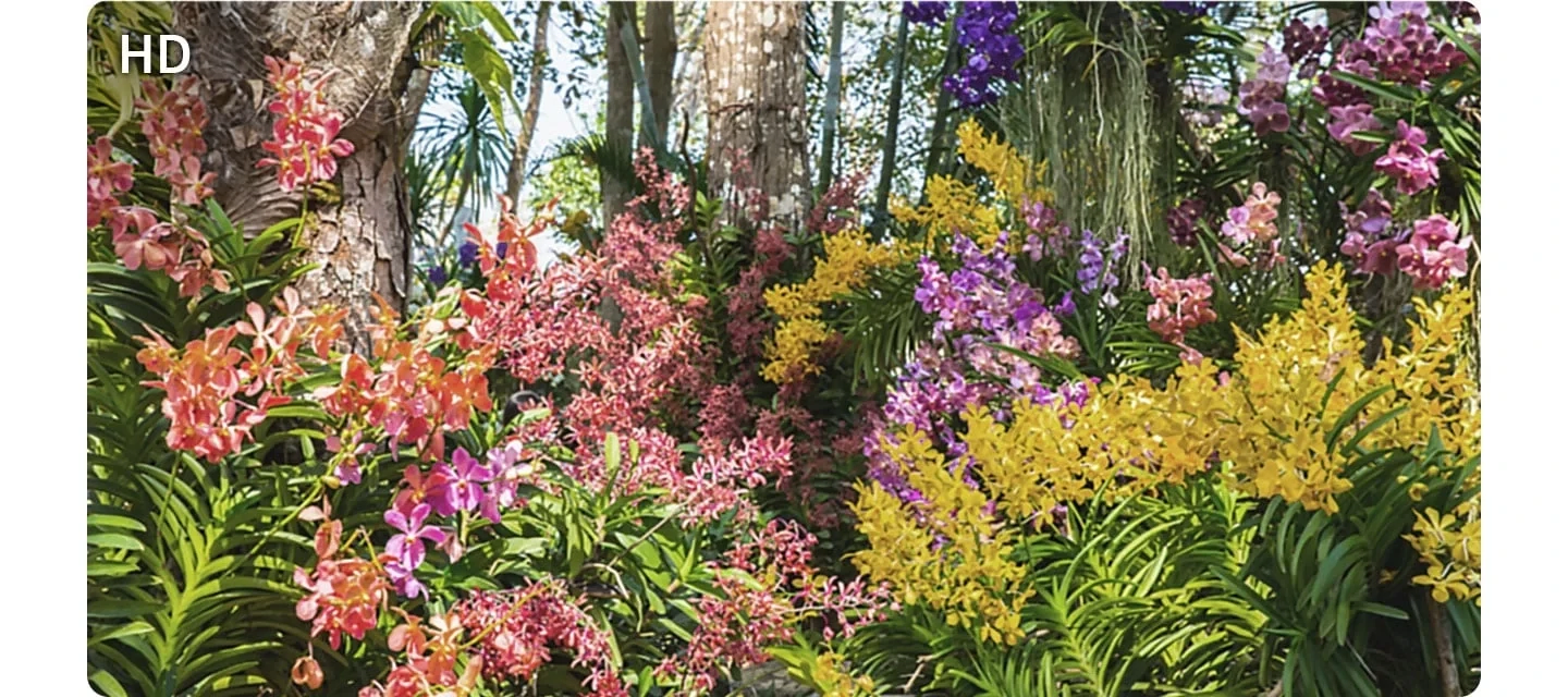 Фото Samsung UE40F6000FUXUA