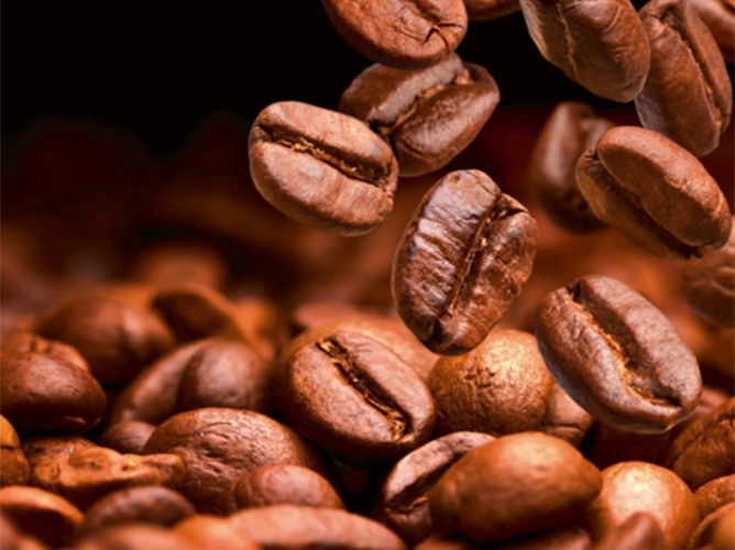 Фото 8 Siemens TE653M11RW