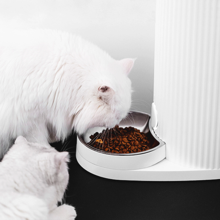 Фото 4 Смарт кормушка для домашних животных