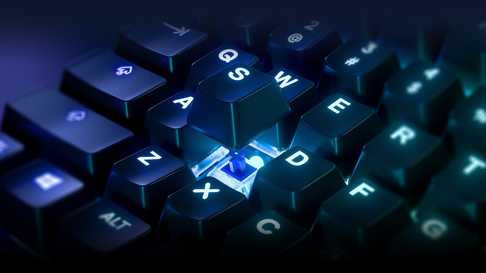 Фото 3 SteelSeries Apex 7 TKL 