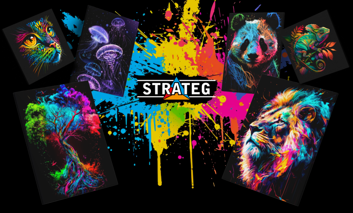 Фото 1 Strateg
