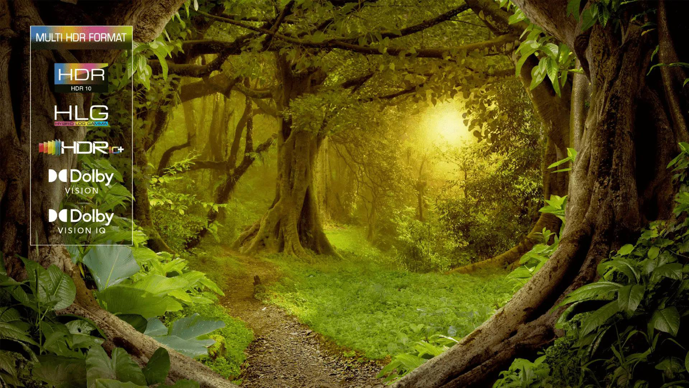 Фото 5 TCL 75C805