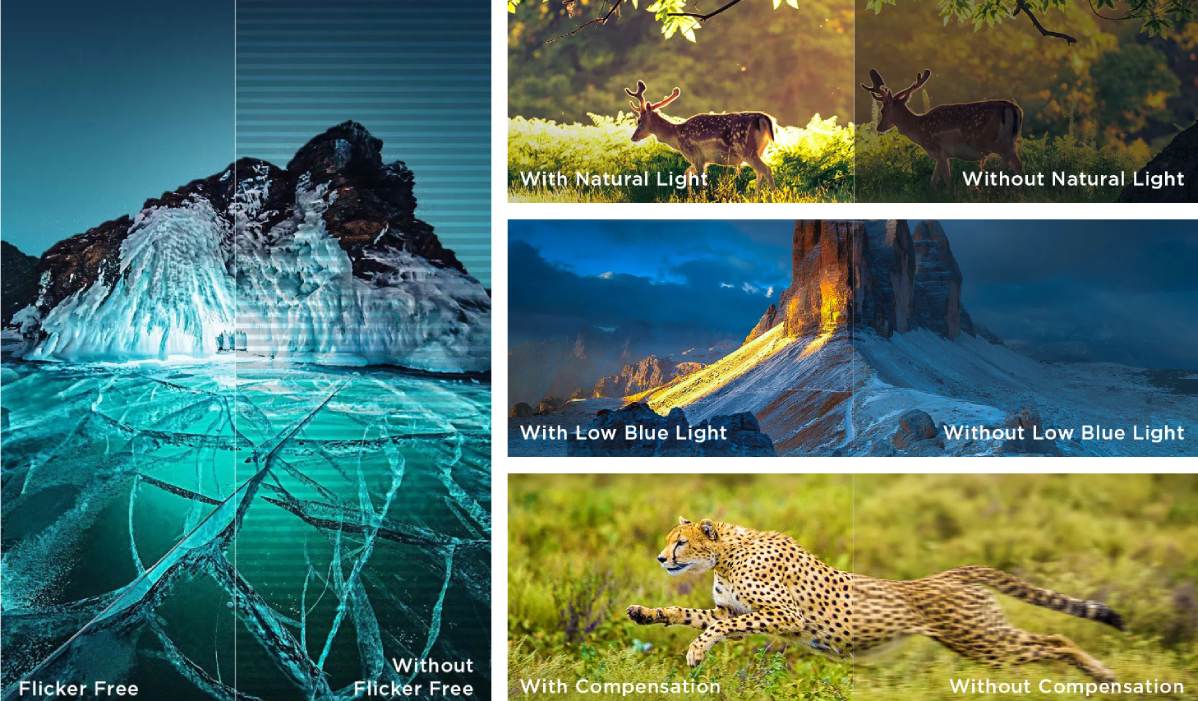 Фото 10 TCL_75P6K