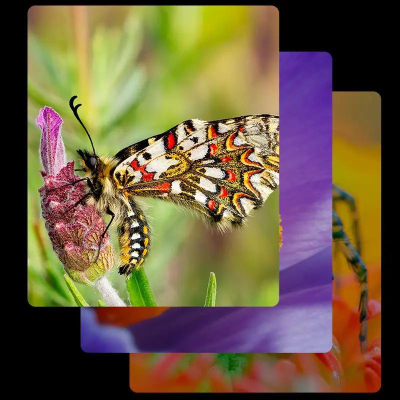 Фото 6 UlefoneAr_X31Pro8256GbBl