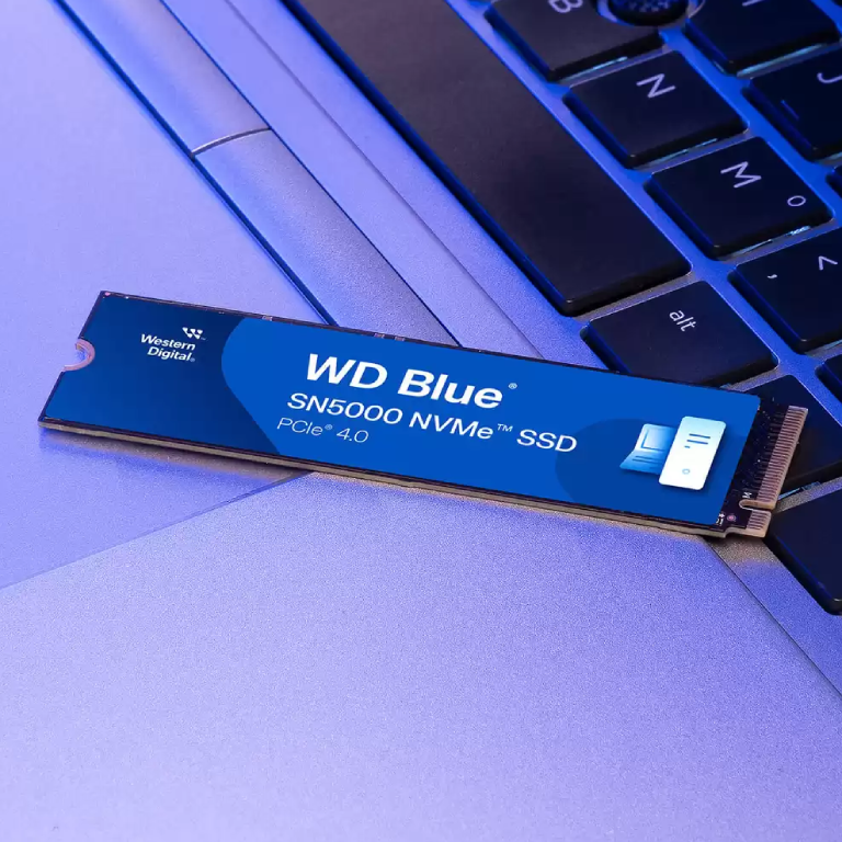 SSD-накопитель WD Blue SN5000 1TB M.2 NVMe (WDS100T4B0E) купить в