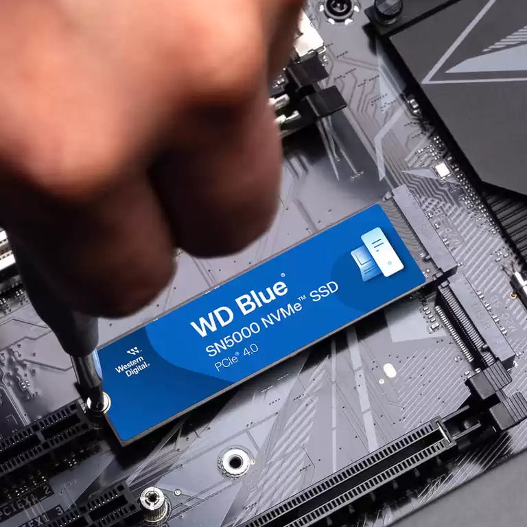 SSD-накопитель WD Blue SN5000 1TB M.2 NVMe (WDS100T4B0E) купить в