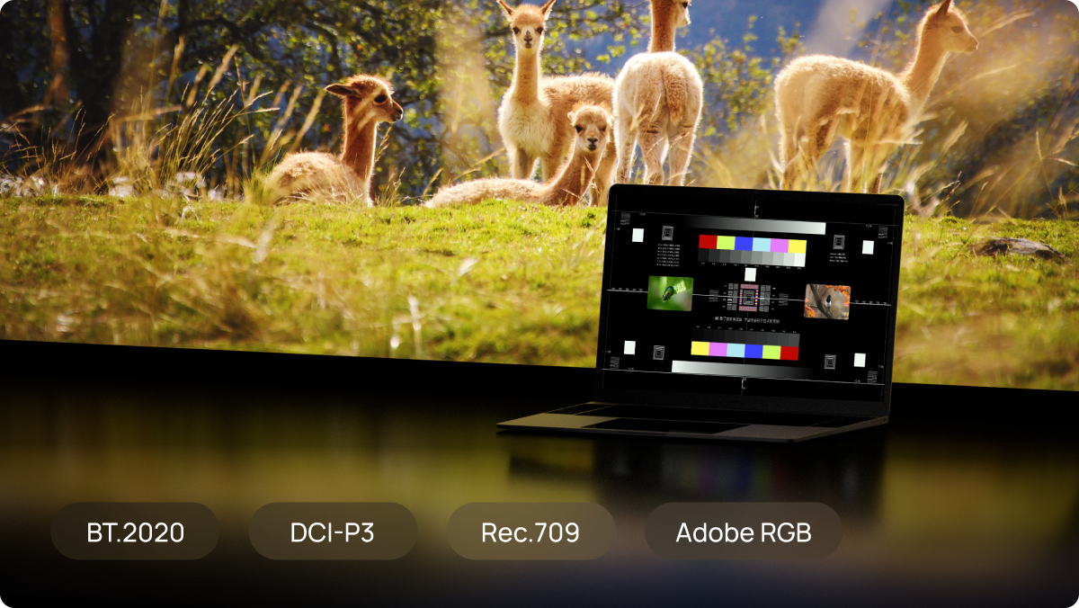 Фото XGIMI Horizon 20 Pro (XR14A)