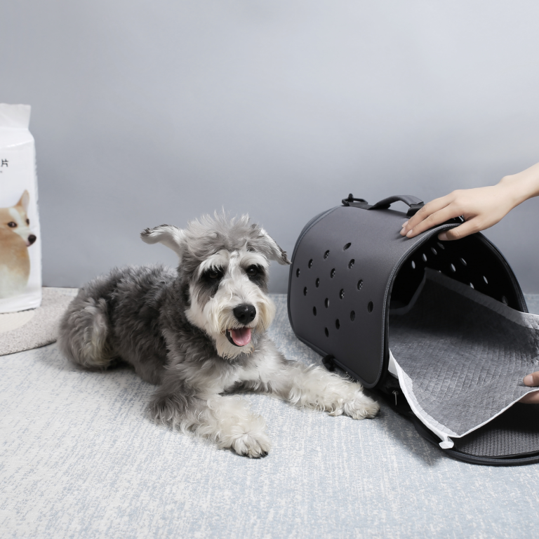 Фото 2 Xiao Pei training dog toilet