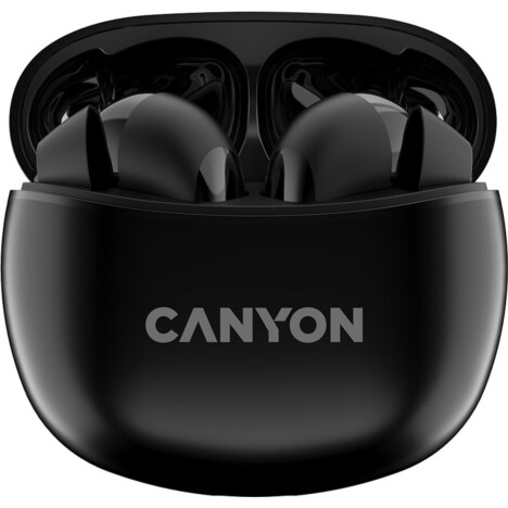 Наушники Canyon TWS-5 Bluetooth (CNS-TWS5B) Black купить в Киеве ☛ цены ...