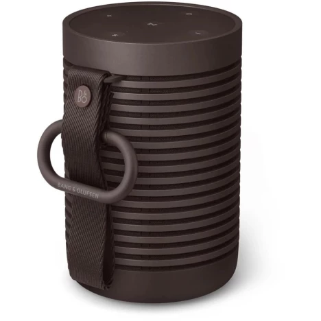 Акустика Bang&Olufsen Beosound Explore Chestnut (1626005) купить в