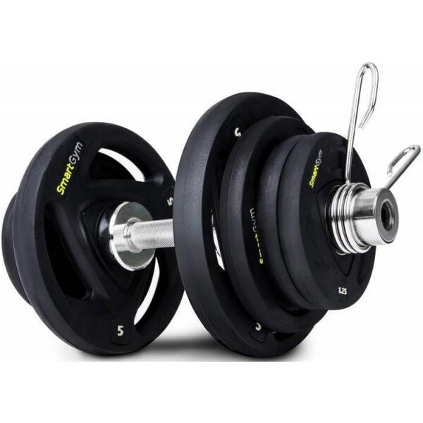 

гантели олимпийская SmartGym 26кг (00-00000505)