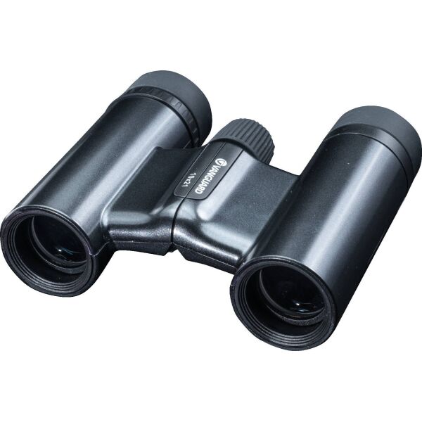 

Бинокль Vanguard Vesta Compact 10x21 WP Black Pearl (DAS301012)
