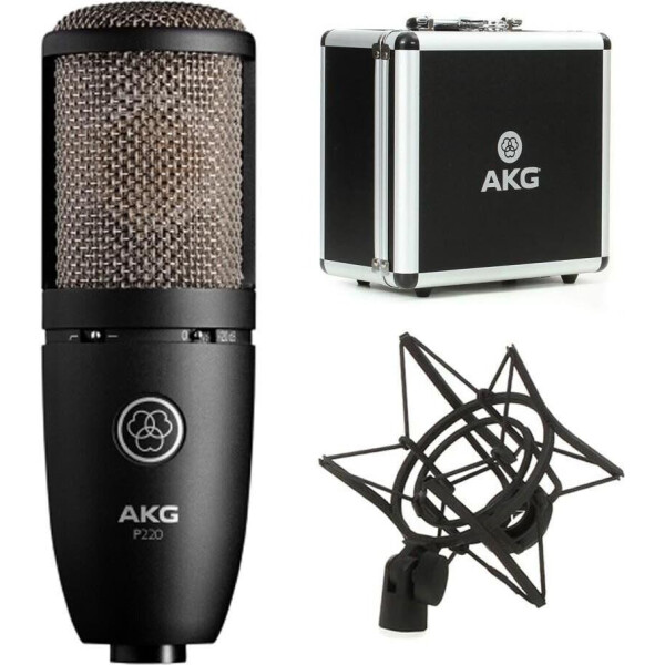 

AKG P220