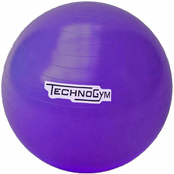 

Мяч для фитнеса (гимнастический мяч) TechnoGym 65 см фиолетовый (TG-65-V)