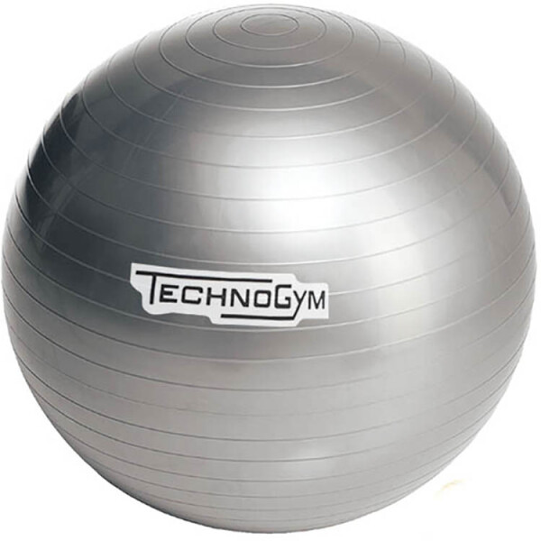 

Мяч для фитнеса (гимнастический мяч) TechnoGym 65 см серый (TG-65-GR)