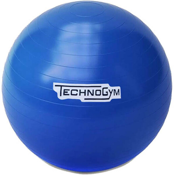 

Мяч для фитнеса (гимнастический мяч) TechnoGym 75 см синий (TG-75-B)