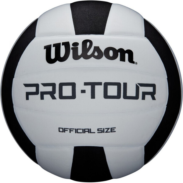 

волейбольный Wilson Pro Tour Size 5 SS19