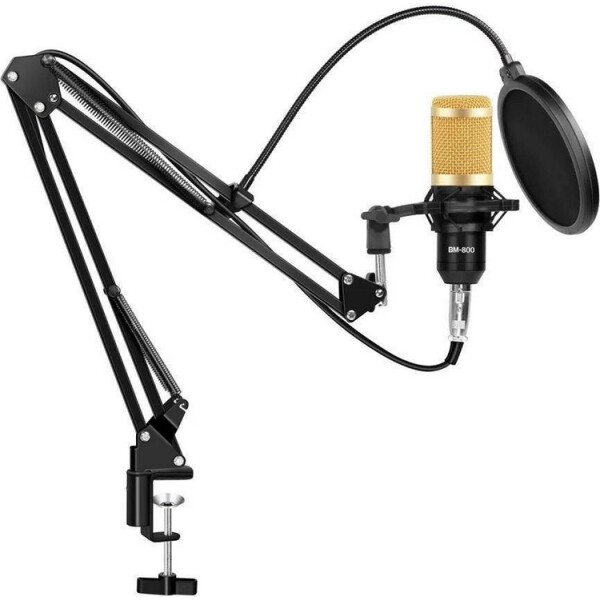 

студийный RIAS M800 со стойкой и ветрозащитой Black-Gold