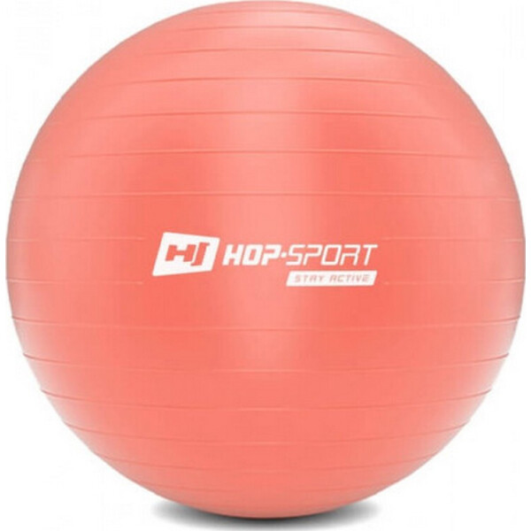 

Фитбол Hop-Sport 65 см розовый + насос 2020 (5902308223509-1)