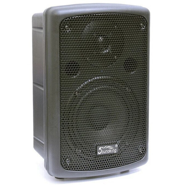 

Акустическая система SOUNDKING SKFP208A