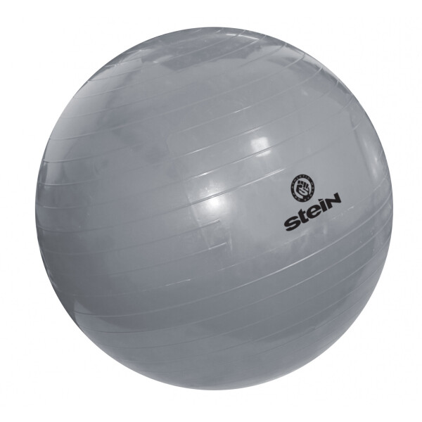 

Фитбол Stein 75 см(LGB-1502-75)