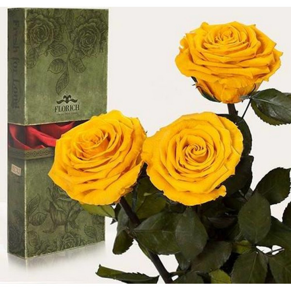 

Долгосвежая роза в подарочной упаковке - СОЛНЕЧНЫЙ ЦИТРИН (7 карат на среднем стебле) 3 шт