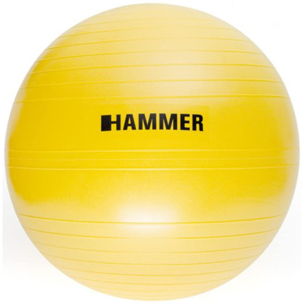 

Фитбол Hammer Gymnastics Ball 55 cm Anti-Burst System (антиразрыв) (66406)