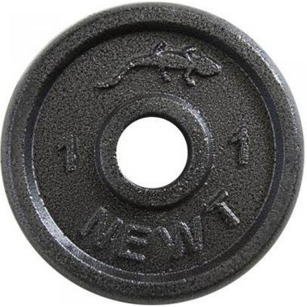 

Диск стальной Newt Home 1 кг, d-28 мм (TI-0011)