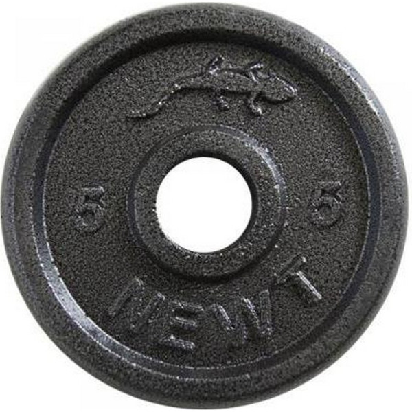 

Диск стальной Newt Home 5 кг, d-28 мм (TI-0006)