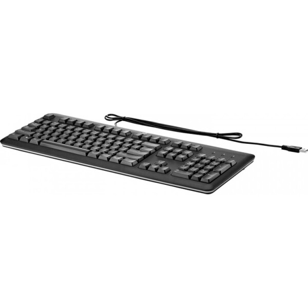 

HP USB OEM Black (QY776A6)