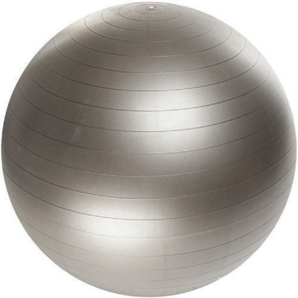 

Фитбол 55 см Profit Ball MS 1539 Silver (8373)