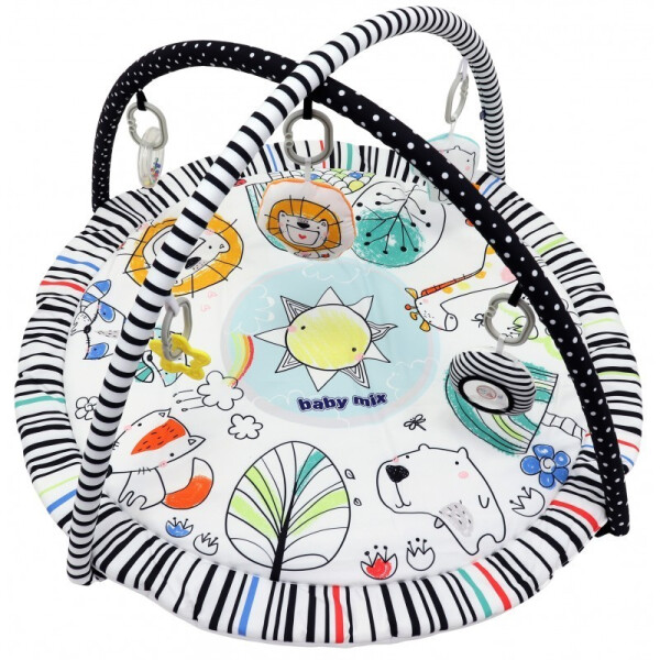 

Коврик Baby Mix TK Q3491C-DA00