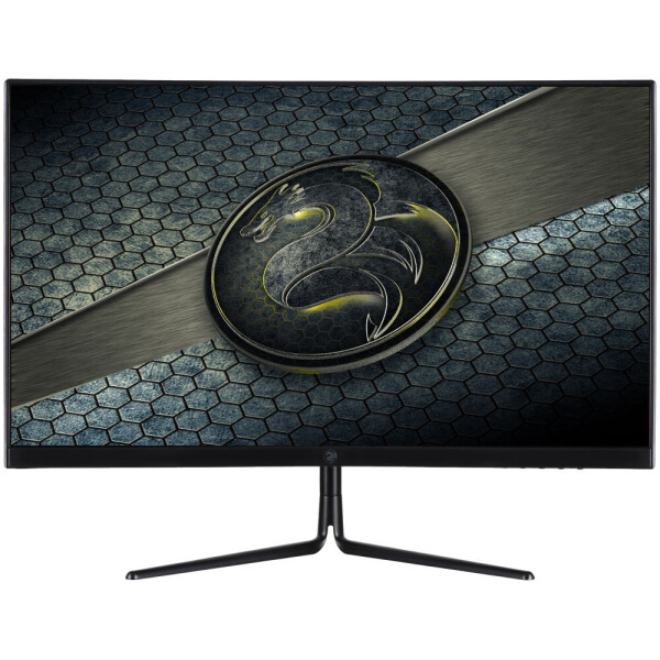 

23.6" 2E GAMING G2420B (2E-G2420B-01.UA) Black