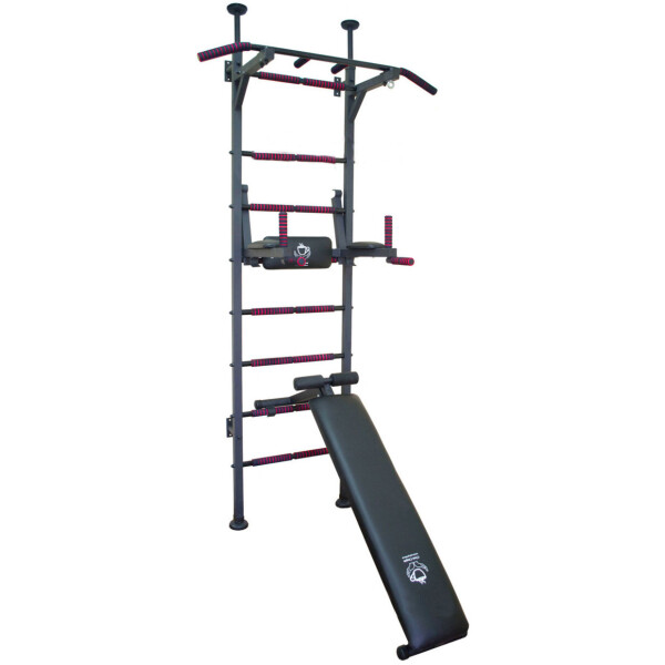 

Шведская стенка Plenergy Fitness Pro Premium New (7234)