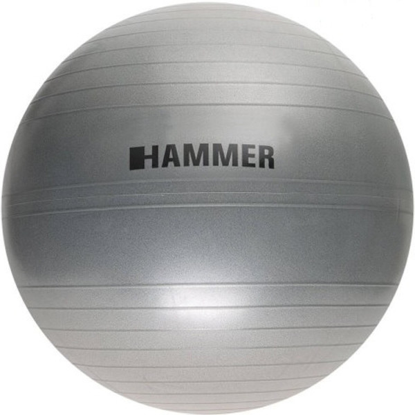 

Фитбол Hammer Gymnastics Ball 65 cm Anti-Burst System (антиразрыв) (66407)