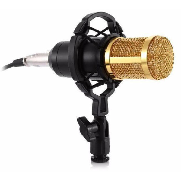 Акція на Комплект Конденсаторный микрофон ZEEPIN BM-800 BLACK GOLD + Звуковая карта DYNAMODE C-MEDIA 7.1 від Allo UA