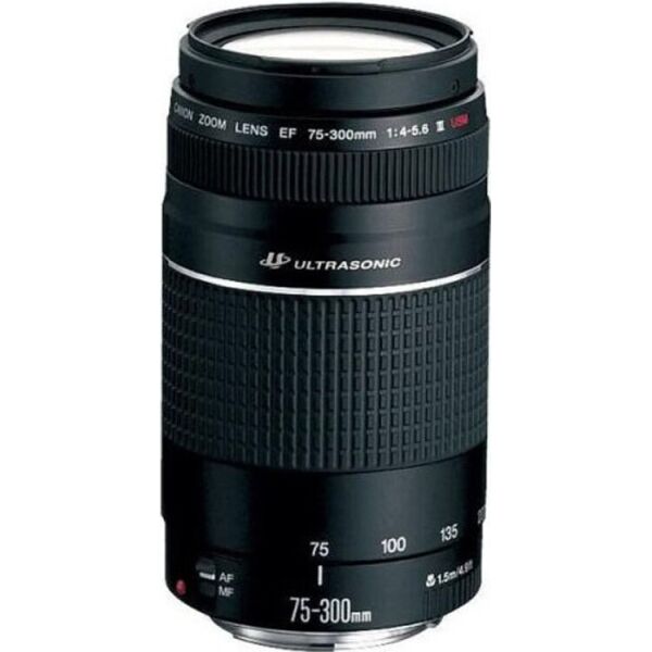 

Объектив Canon EF 75-300mm f/4-5.6 III