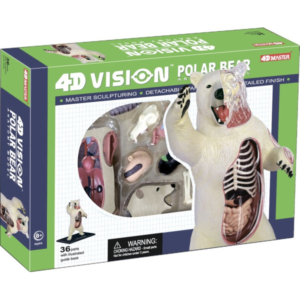 

Исследование 4D Master Белый медведь Анатомия животных (26097)