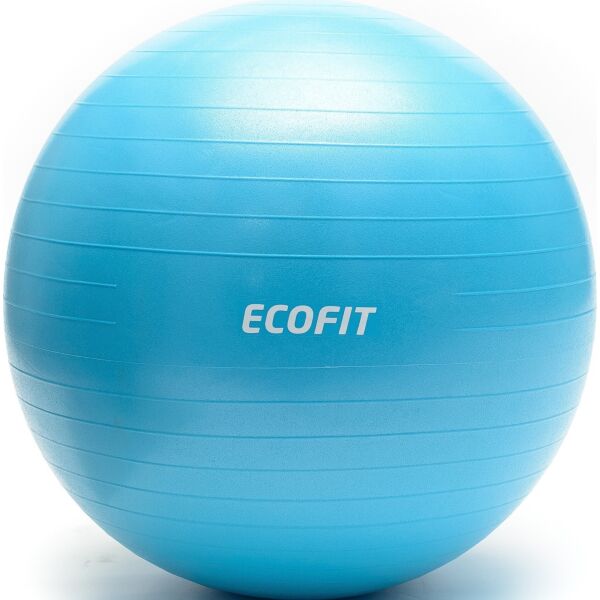 

Мяч для фитнеса Ecofit MD1225 75см/1300 гр (К00015206)