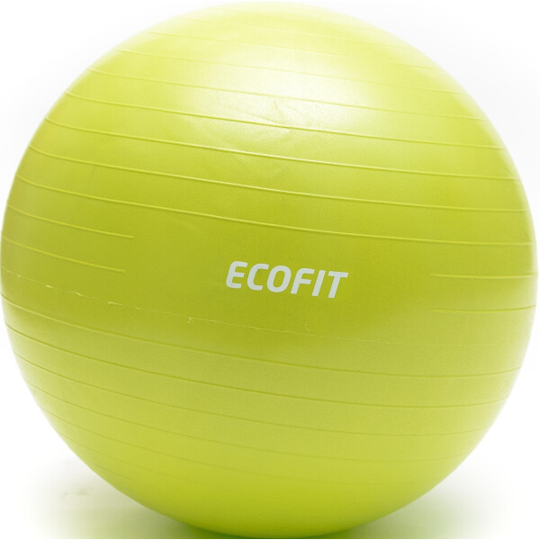 

Мяч для фитнеса Ecofit MD1225 65см/1100 гр (К00015206)